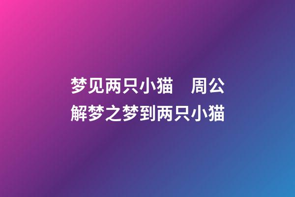梦见两只小猫　周公解梦之梦到两只小猫